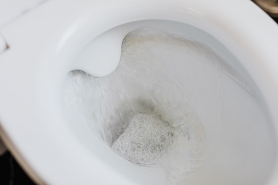toilet repair exeter